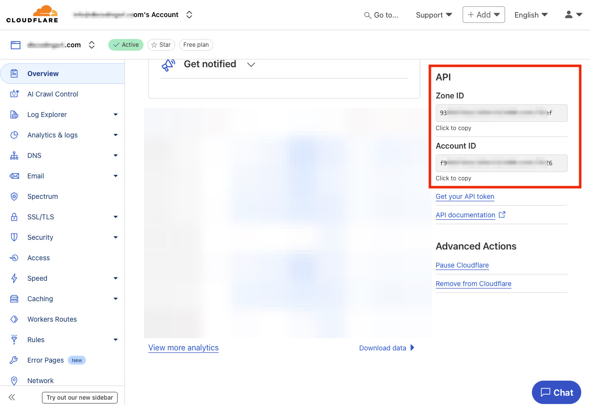 Zone ID Account ID Domain
